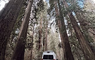 4 Season Comfort: Home Away from Home