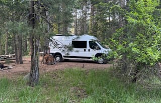 PNW Adventure-Ready, Pet-Friendly, Cozy CamperVan