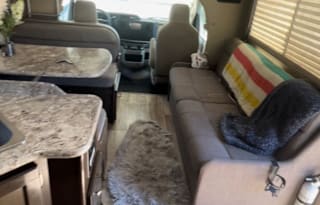 "Luxury Paws Retreat: Upscale Pet-Friendly RV
