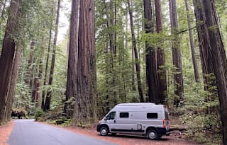 2023 Winnebago Solis 59P