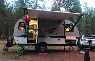 Rufous - The Jayco Hummingbird Baja
