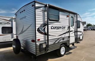Versatile and Accommodating Canyon Cat!!