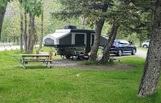 Pet Friendly Popup Camper Rental