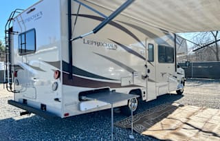 2018 Coachmen Leprechaun 260DS