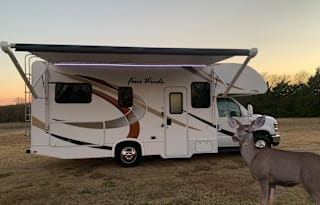 Disinfected! 2019 Thor Motor Coach Four Winds 23U