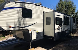 2019 Palomino Puma