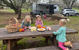 The Nomadic Nano