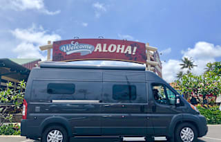 Banyans - (Kona - The Big Island)