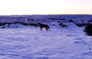 Kaedoe-Stationary RV on the Navajo Nation