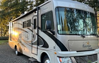 2011 Fleetwood RV Bounder Classic 30T