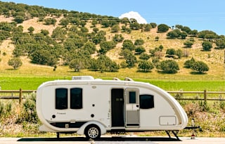 Modern Evergreen Element! All-inclusive!
