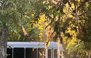 Escape in Nature in this Cozy Shuttle Conversion