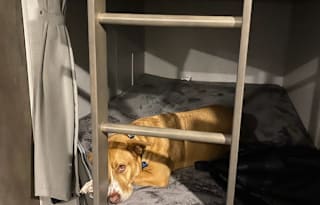 Happy Days/Starry Nights! Sleeps 8 + Pet Friendly