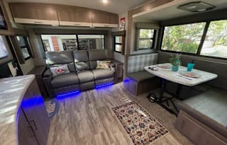 Emil and Della's Purrfectly Pet Friendly Posh Pad