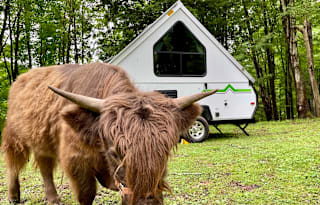 Cute + Minimal A-frame (Aliner)