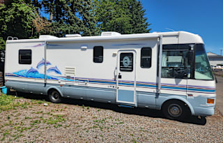 1997 Ford National RV Dolphin Series M-535