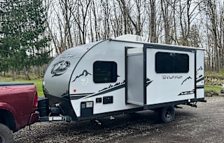 2023Cherokee Wolf Pup Black Label #3 Fall pricing