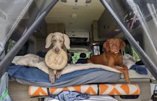 2022 Winnebago Solis 59PX