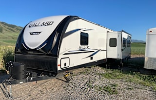 2020 Heartland Mallard 301