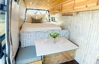 2008 Mercedes Sprinter "Sage"