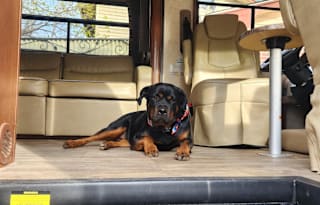 2016 Forest River RV Georgetown 364TS