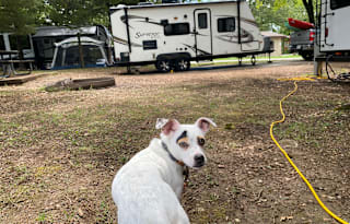 2014 Forest River RV Surveyor Sport SP 220