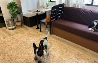 Will & Kim’s Heartland Travel Trailer