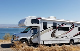 Brand New 2020 Thor Motor Coach Four Winds 31WV