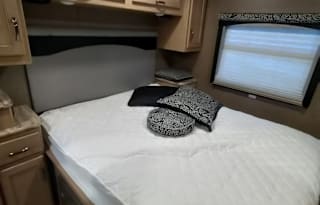 2018 Thor Motor Coach ACE 30.2 bunkhouse