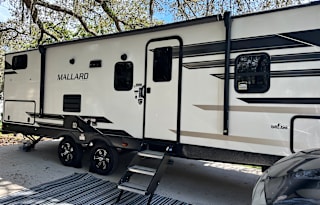 HAKUNA MATATA what a wonderful camper!