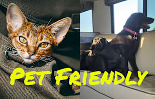 Pet Friendly 50% Monthly Rental & Unlimited Miles