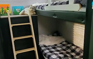 Beau Skye and Willow Dawn's Dog Friendly RV Rental