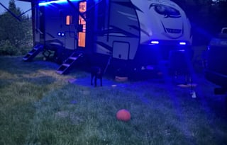 2022 Forest River RV Cherokee Alpha Wolf 23DBH-L