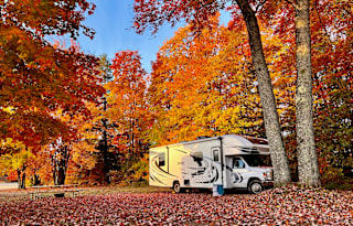 2021 Coach Odyssey 29K - FREE Mobile Wifi