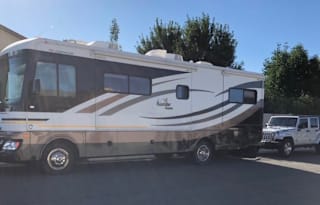 2010 Fleetwood Bounder Classic 30T