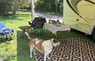 2020 Thor Motor Coach Axis 27.7