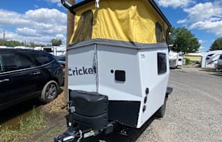 2020 TAXA Outdoors Cricket Standard Model