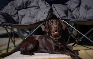 “Maggie” the Luxurious Farmhouse Travel Trailer