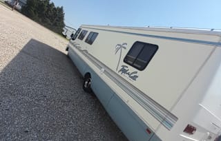 1996 Dolphin Motor Coach Dolphin A