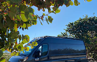 2021 Dodge RAM Pro Master Extended High Roof 3500