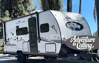 Adventure Awaits with our NEW Wolf Pup Black Label