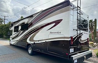 Forest River RV SUNSEEKER 3010DS