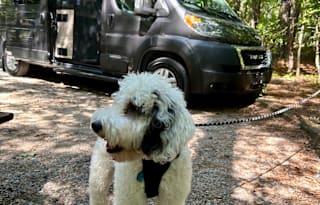 Aventura, van rental for your next Adventure!