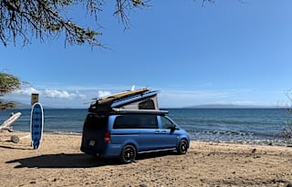 Taimane - (Maui)