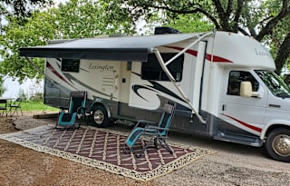 2010 Forest River RV Lexington 295DS