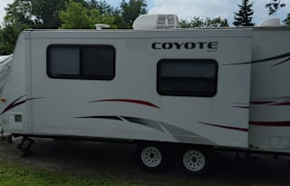 coyote lifestyle