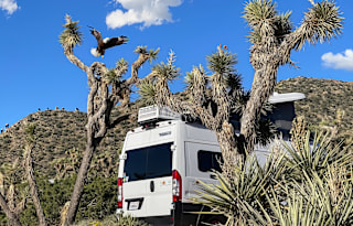 Take a spin with VANNAWT! 2021 Winnebago Solis 59P