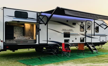 Stylish Bunk House Trailer for Your Next Adventure