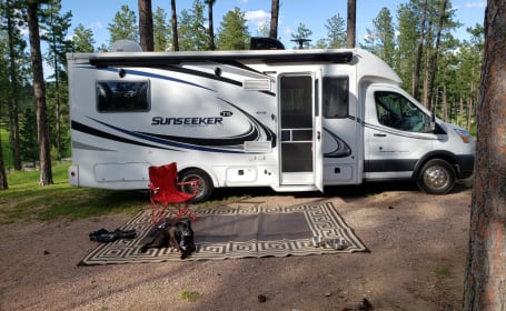 "Sunny"  my 2019 Forest River RV Sunseeker TS 2380