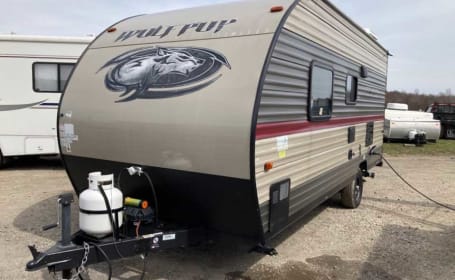 2019 Forest River RV Cherokee Wolf Pup 16FQ